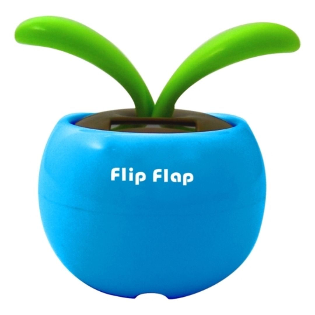 Цветок Flip Flap В Голубом горшочке