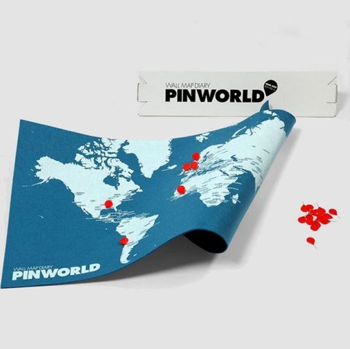 Карта мира Palomar Pin World