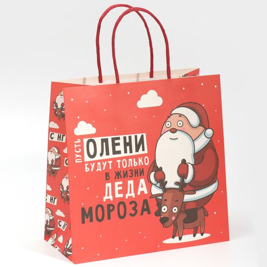 Подарочный пакет Дед мороз (22 х 22 х 11 см)