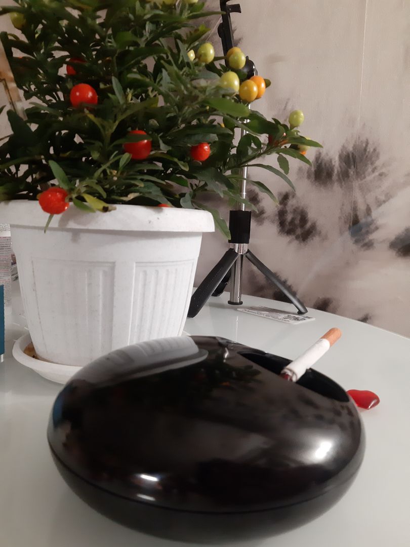 Фото покупателя Виктория Фото покупателя Виктория