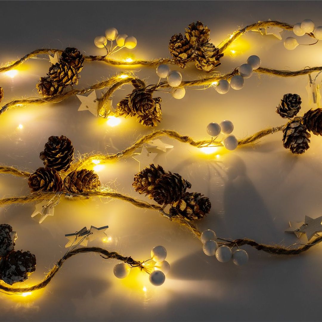 Светодиодная гирлянда Cones and Berries Светодиодная гирлянда Cones and Berries