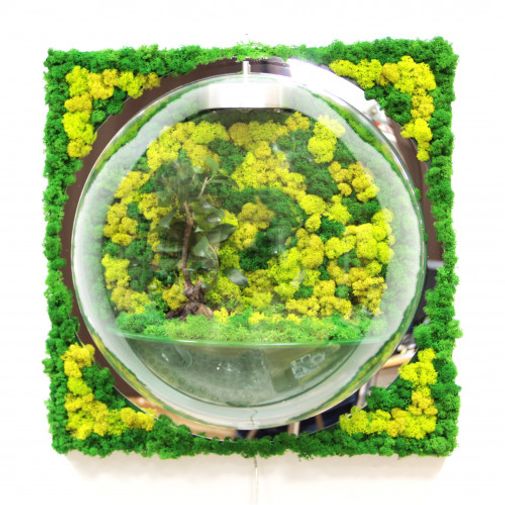 Настенный флорариум Flandriss Мох 3D