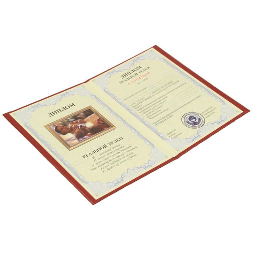 Диплом реальной телки Разворот Диплом реальной телки Разворот