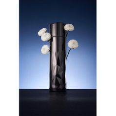 Термос Gems Black Morion черный морион