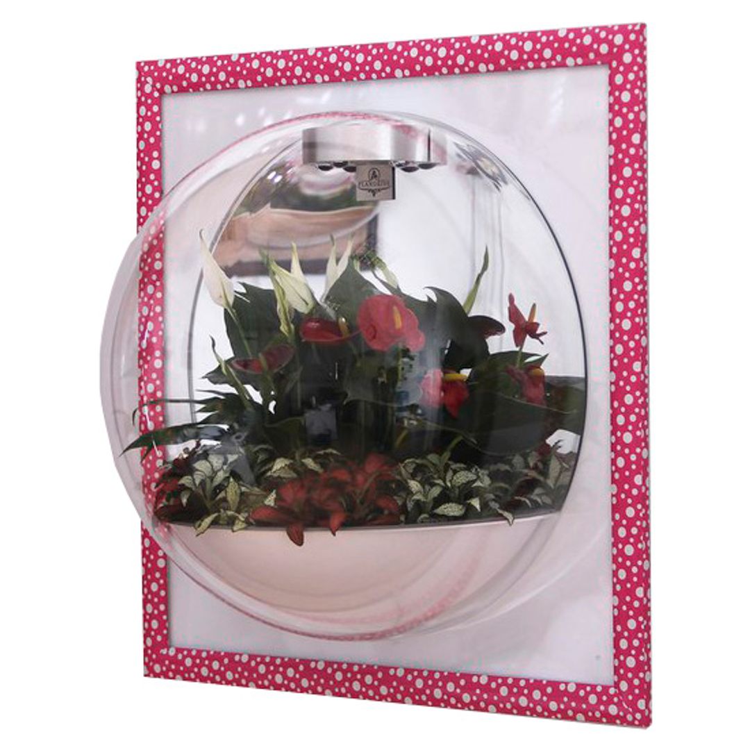 Настенный флорариум Flandriss Candy Настенный флорариум Flandriss Candy