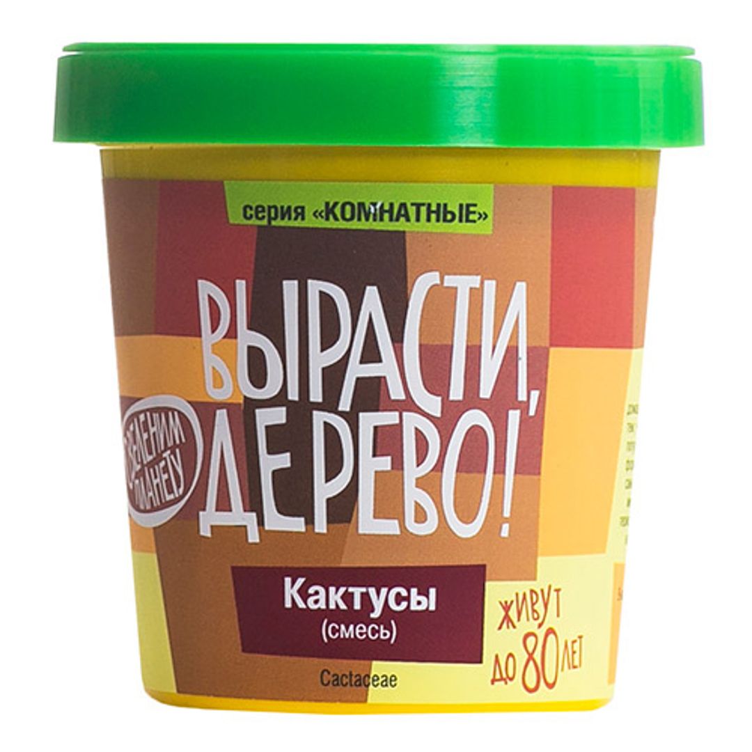 Набор для выращивания Кактусы Набор для выращивания Кактусы