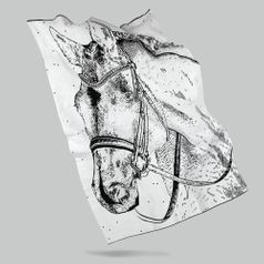 Плед Вороной Плед Вороной