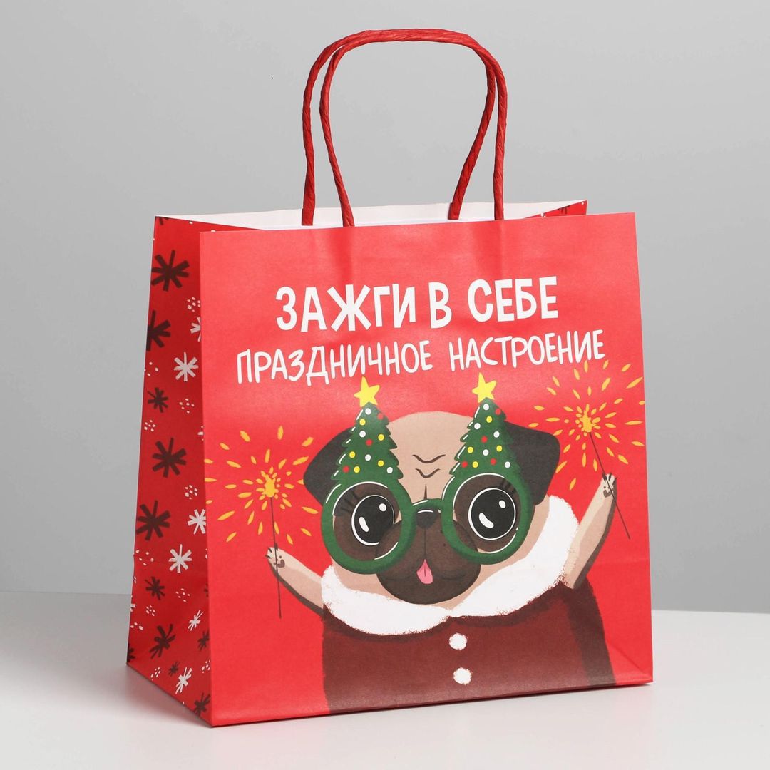 Подарочный пакет Зажги в себе (22 х 22 х 11 см)