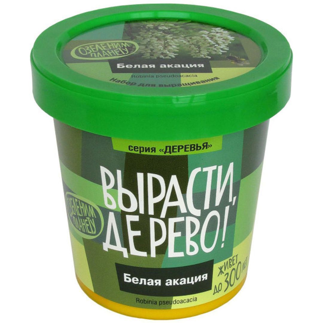 Набор для выращивания Белая акация