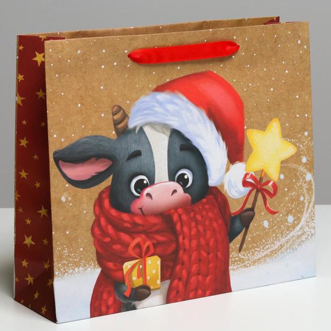 Подарочный пакет Новогодние чудеса Подарочный пакет Новогодние чудеса