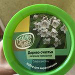 Набор для выращивания Дерево счастья катальпа Отзыв Набор для выращивания Дерево счастья катальпа Отзыв