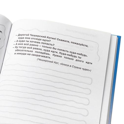 Записная книжка Книга Котовых решений Все фразы из книжки принадлежат котам