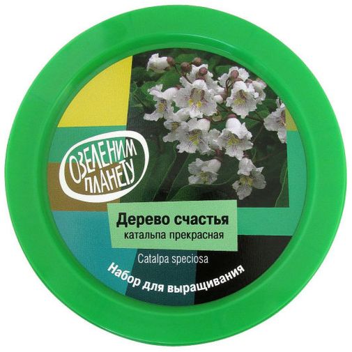 Набор для выращивания Дерево счастья катальпа Набор для выращивания Дерево счастья катальпа