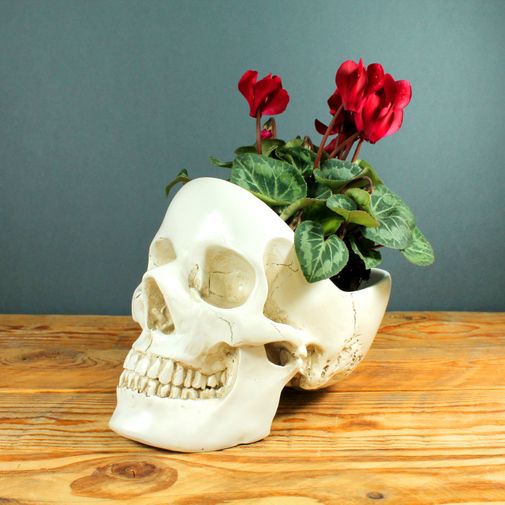 Настольный органайзер Череп Skull