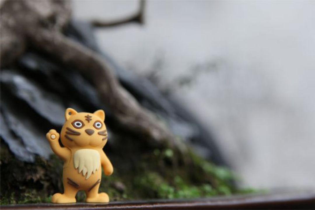 Флешка Тигр 8 Гб Флешка Тигр 8 Гб