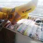 Носки Кот, у которого все дома Отзыв