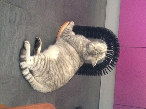 Фото покупателя Светлана Фото покупателя Светлана