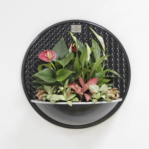 Цветочная композиция Антураж Цветочная композиция Антураж