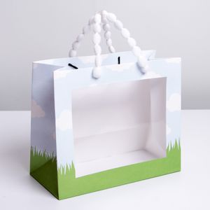 Подарочный пакет с пластиковым окном Friends (24*20*11 см)