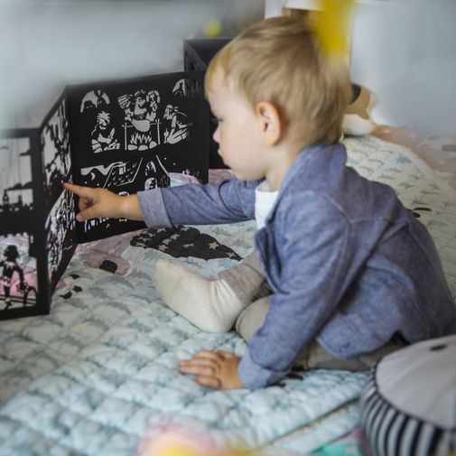 Книга Театр теней Бременские музыканты Книга Театр теней Бременские музыканты