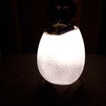 Ночник Динозавр в яйце Dinosaur Lamp (Паразауролоф) Отзыв