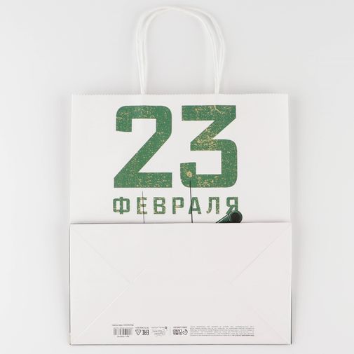 Подарочный пакет Защитник (22 х 25 х 12 см)