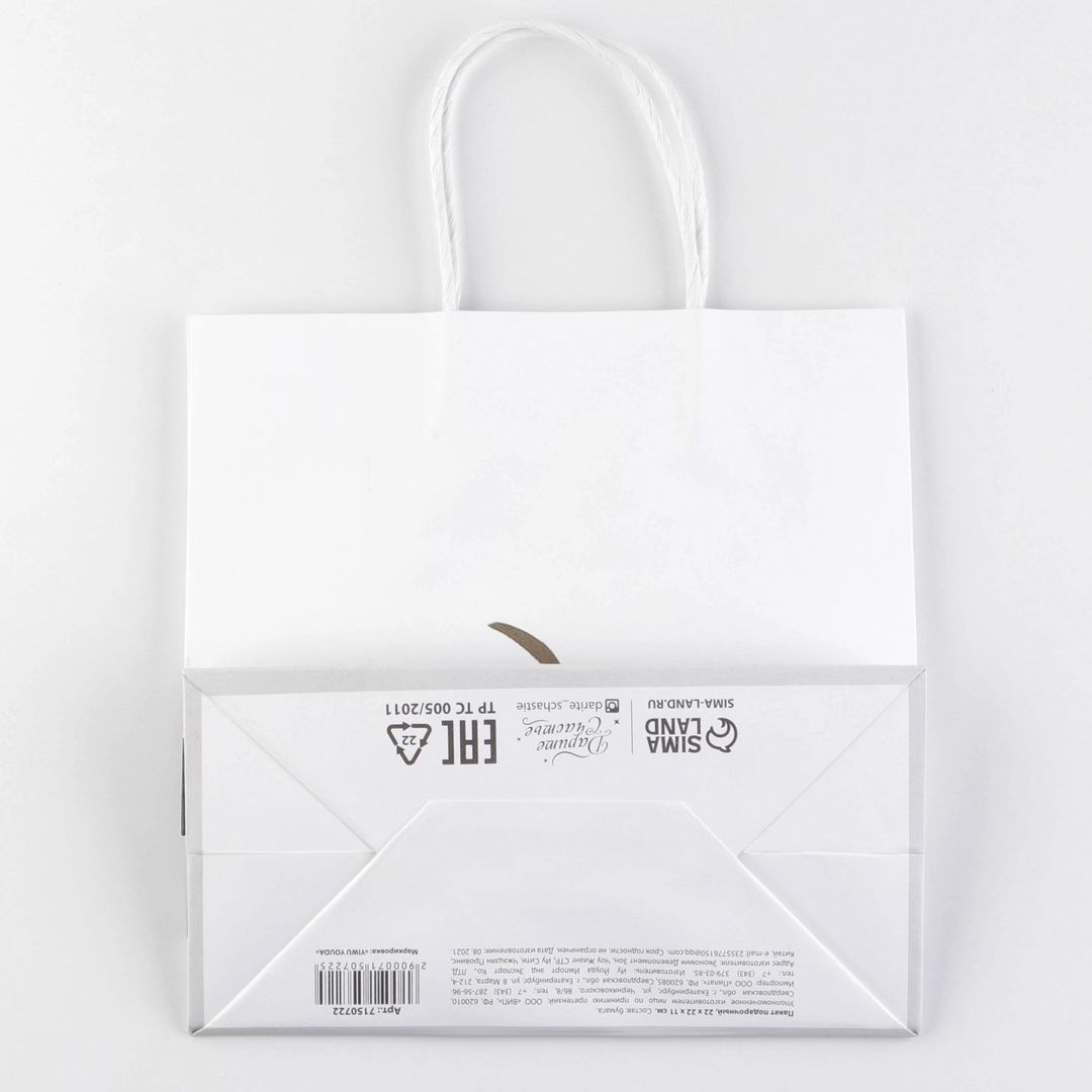 Подарочный пакет Пирожочек (22 х 22 х 11 см) Подарочный пакет Пирожочек (22 х 22 х 11 см)