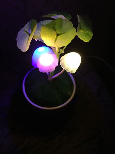  Фото покупателя Светлана