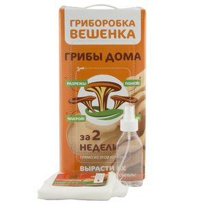 Набор для выращивания грибов Гриборобка