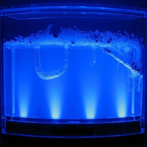 Муравьиная ферма с подсветкой Ant Space