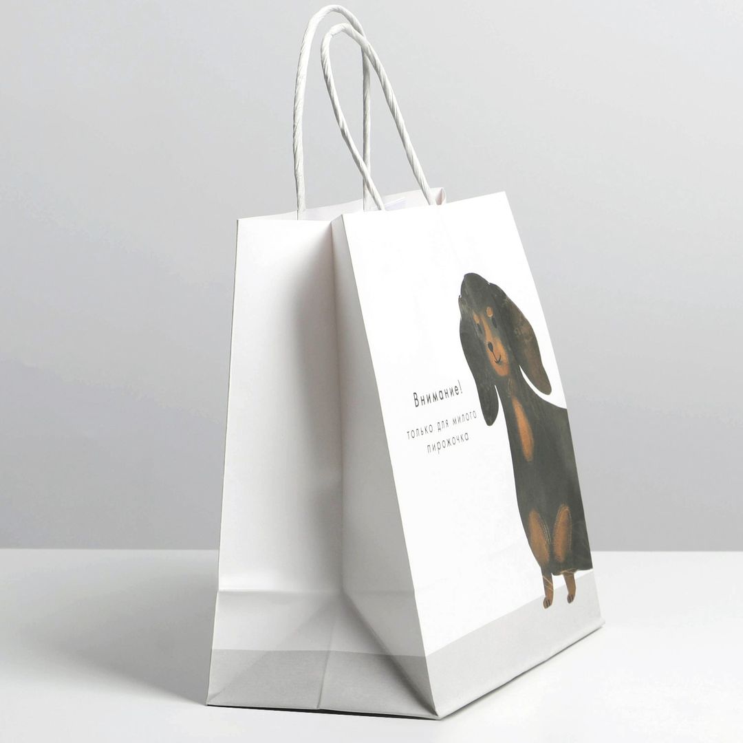 Подарочный пакет Пирожочек (22 х 22 х 11 см) Подарочный пакет Пирожочек (22 х 22 х 11 см)