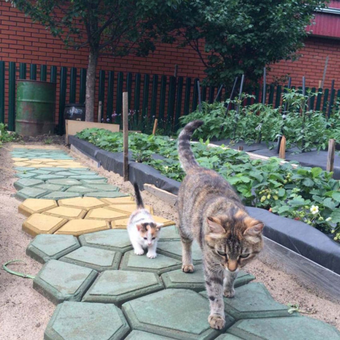 Форма-опалубка для тротуарной плитки