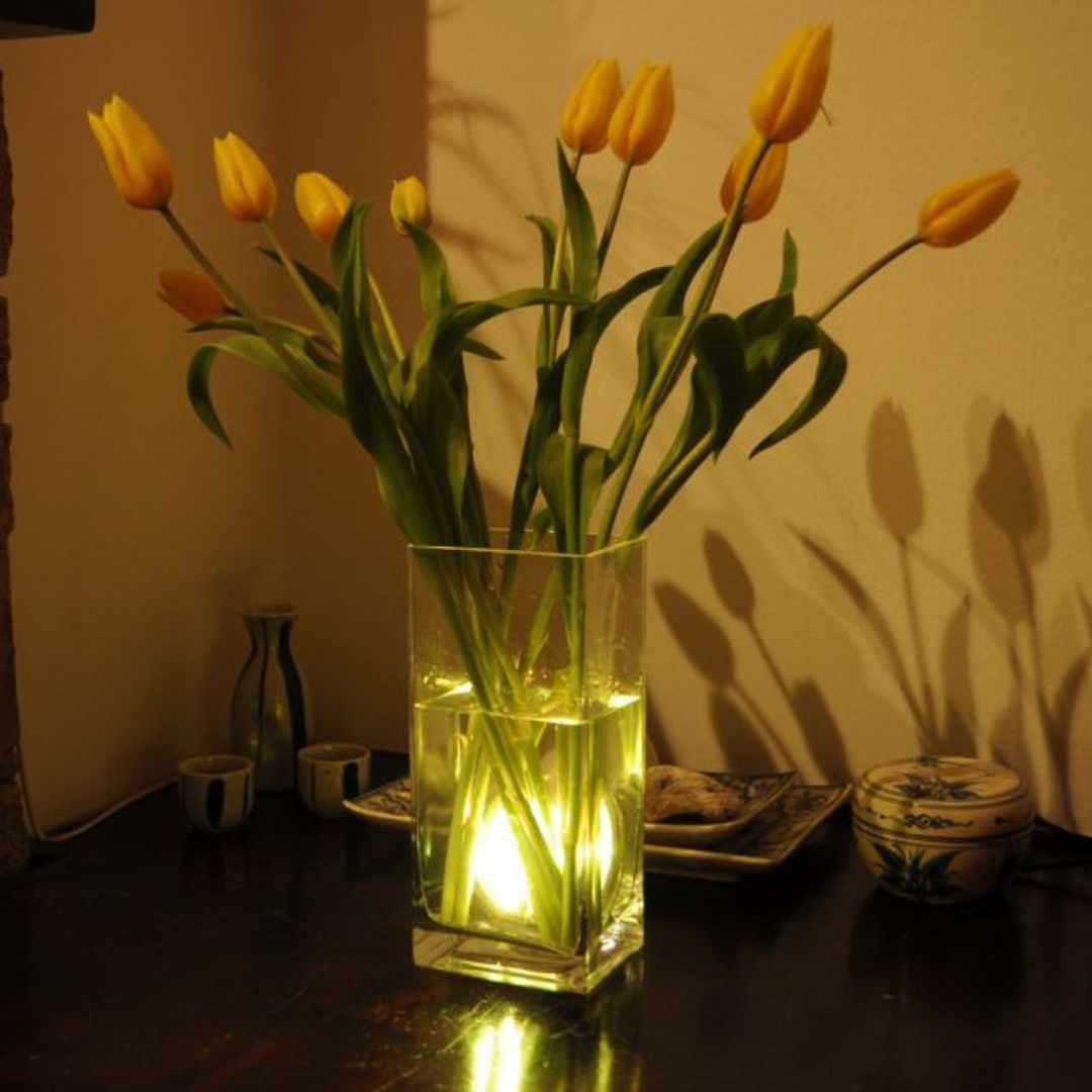 Водонепроницаемые лампы с пультами (4 шт.) Водонепроницаемые лампы с пультами (4 шт.)