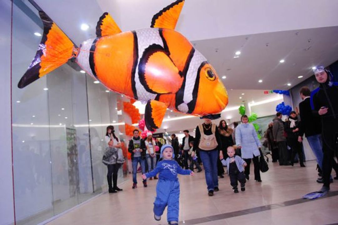 Летающая Рыба Клоун Летающая Рыба Клоун