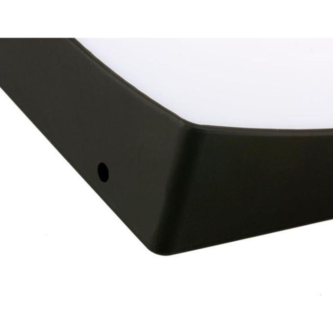 Волшебный лоток