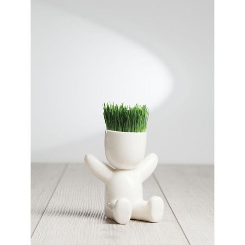 Набор для выращивания Funky Kid Набор для выращивания Funky Kid