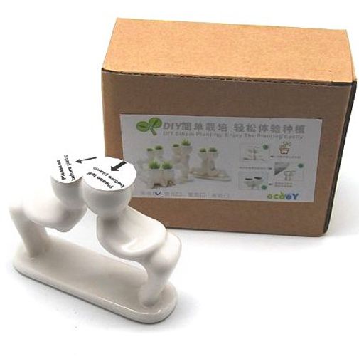 Оазис Kiss Оазис Kiss