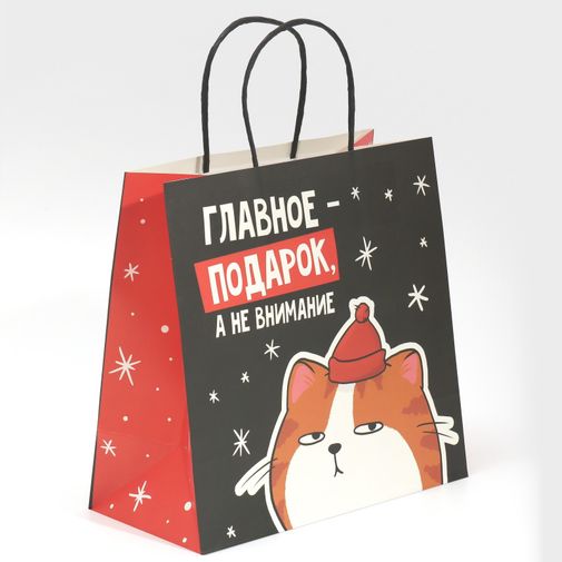 Подарочный пакет Главное подарок, а не внимание (22 х 22 х 11 см) Подарочный пакет Главное подарок, а не внимание (22 х 22 х 11 см)
