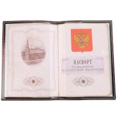 Обложка для паспорта Флеш