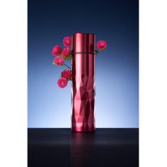 Термос Gems Red Rubine красный рубин