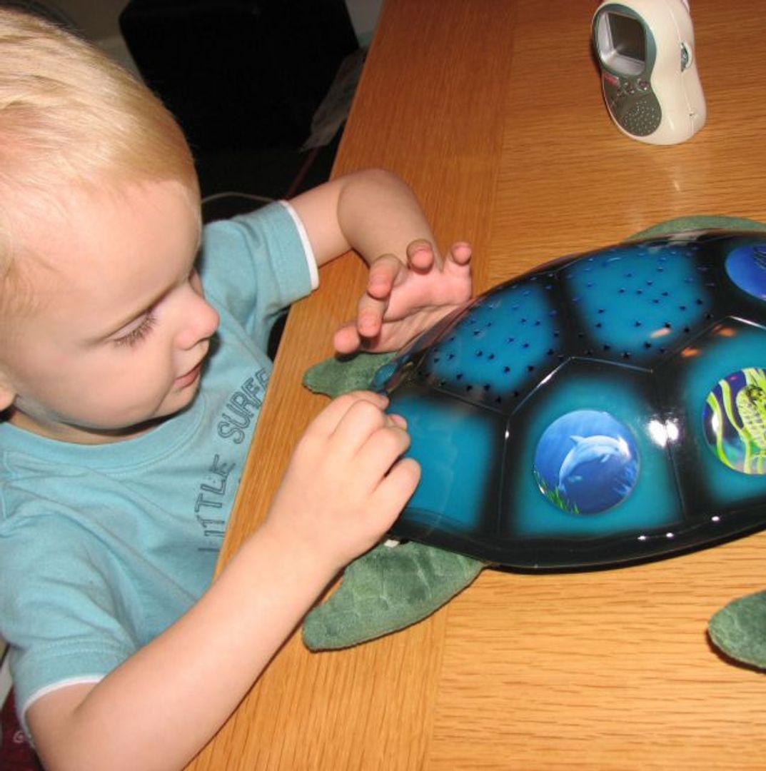 Проектор Морская черепаха