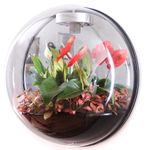 Настенный флорариум Flandriss Miniball Black