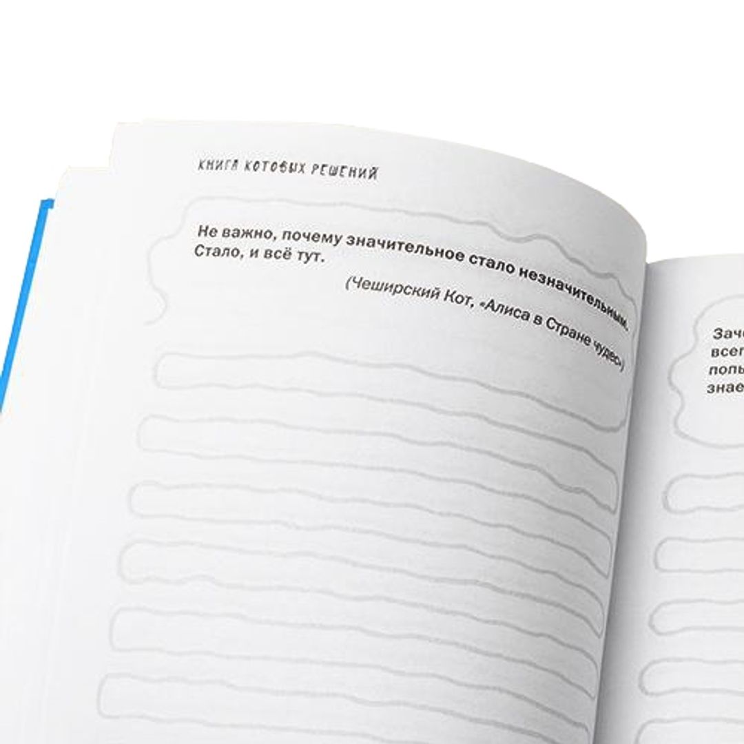 Записная книжка Книга Котовых решений Можно писать под цитатами