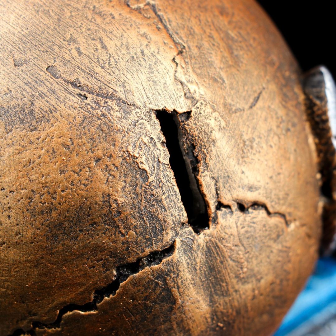 Копилка Череп на книгах Копилка Череп на книгах