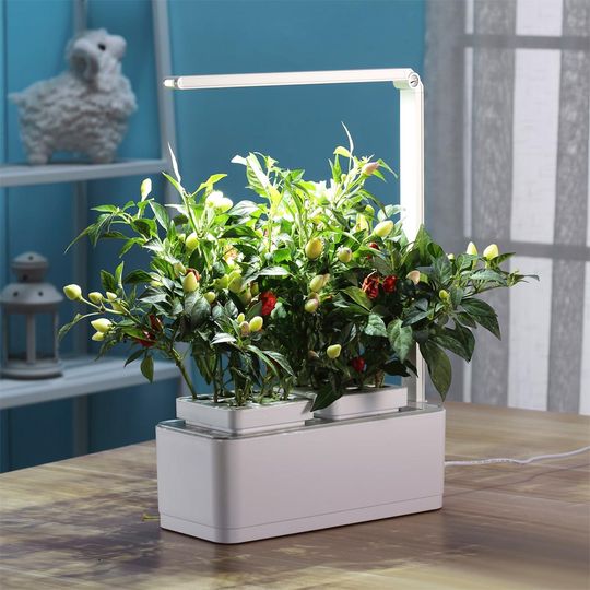 Умный сад для выращивания растений iGarden LED
