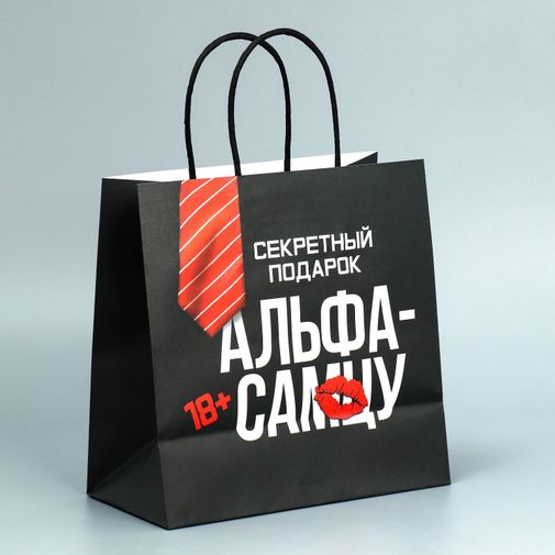 Подарочный пакет Альфа (22 х 22 х 11 см)