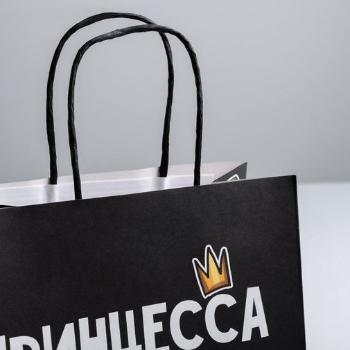 Подарочный пакет Принцесса (22 × 22 × 11 см)