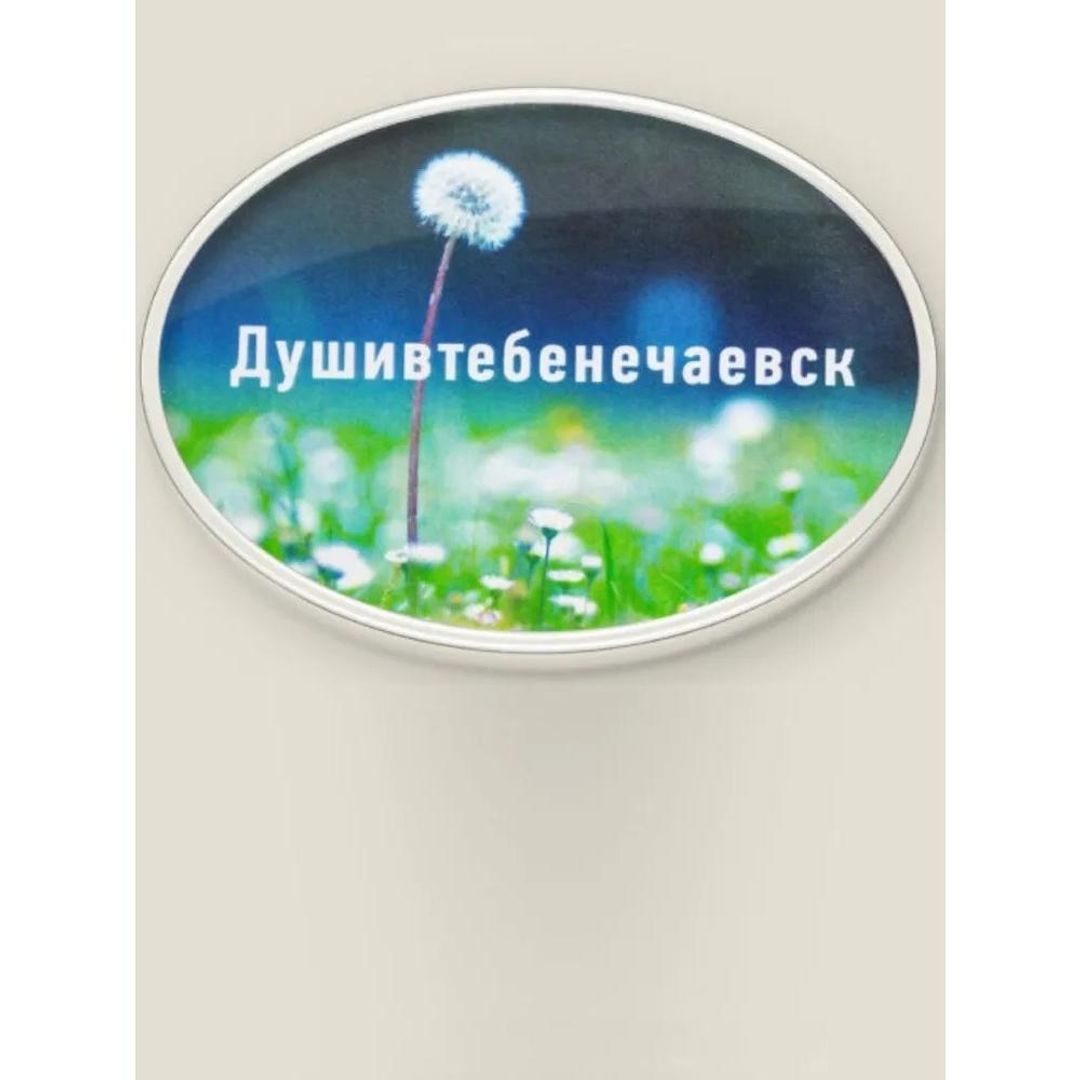 Магнит Душевный Душивтебенечаевск