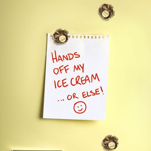 Магниты Пуля Shot-Up (3 шт.) Магниты Пуля Shot-Up (3 шт.)