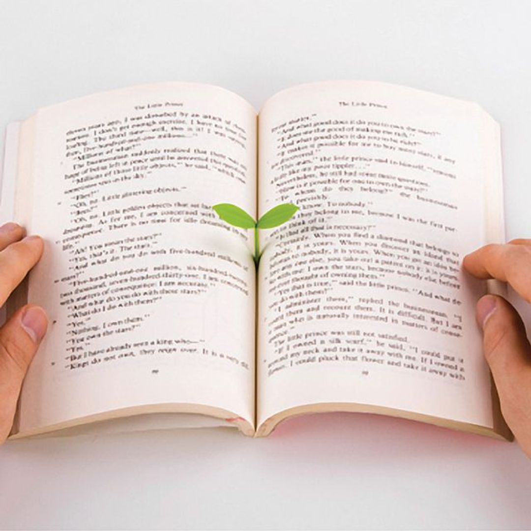Закладки для книг Листочки Sprout Закладки для книг Листочки Sprout